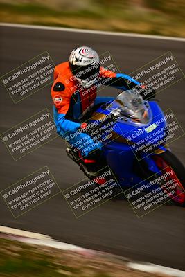 media/Feb-16-2024-CRA (Fri) [[3bc3e7055d]]/Group B/Session 5 (Turn 4)/